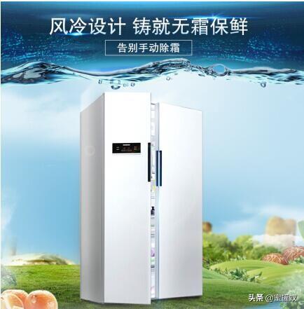 中国品牌冰箱排行榜(中国冰箱老牌子有哪些)插图3
