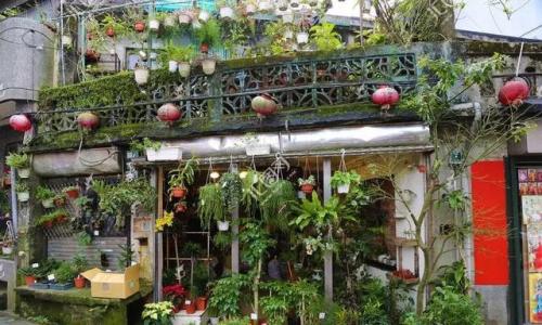 想开花店(新手怎么开花店)插图13