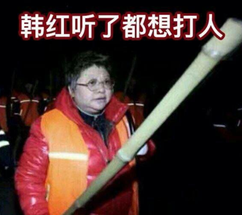 韩红和管彤结婚照片(韩红一家三口近照)插图8