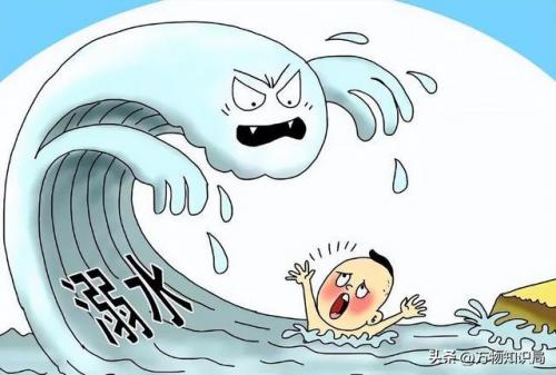 2007广西北海鳄鱼(广西最大鳄鱼养殖基地)插图27