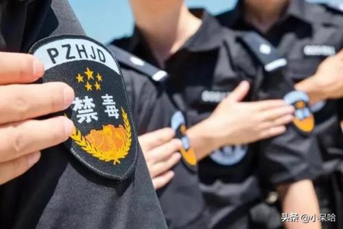 缉毒电视剧排行榜(2023最火缉毒电视剧)插图
