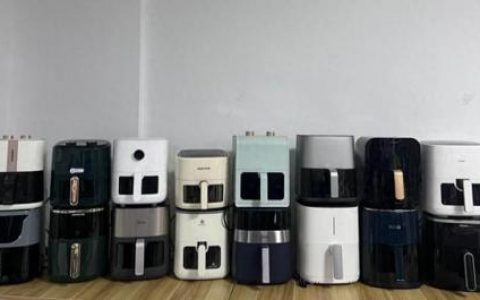 空气炸锅销量排行榜(空气炸锅家用十大品牌)