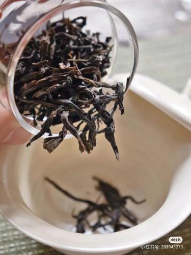 厦门品牌茶店排名前十(厦门一间茶店能挣多少钱)插图35
