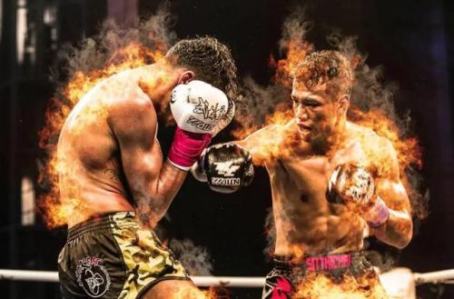 功夫盛典(2023河南卫视武林风)插图
