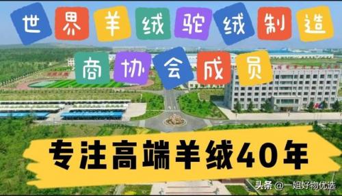 围巾大品牌排行榜(十大奢侈品围巾品牌)插图1