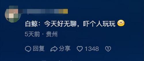 白鲸为什么对人那么好(白鲸对人吐水代表什么)插图4