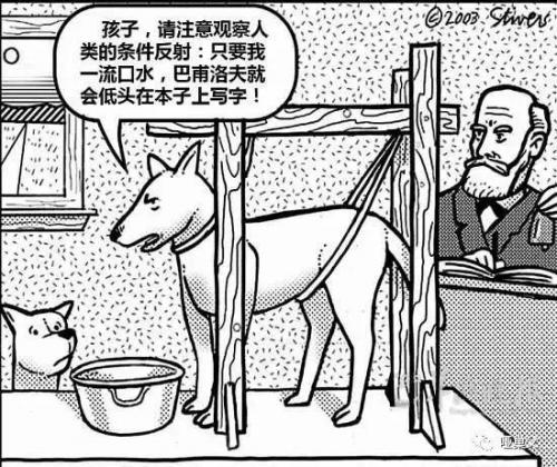 吴牛喘月意思是什么(吴牛喘月打最正确生肖)插图3