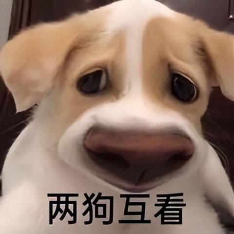 密友畅聊包(畅聊包)插图7