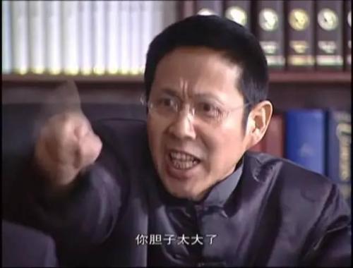 刑侦大陆电视剧排行榜(十大刑侦纪实电视剧)插图31