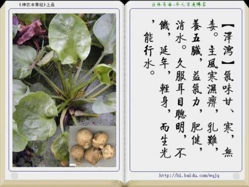 本草纲目中药大全(12000种中草药大全)插图20