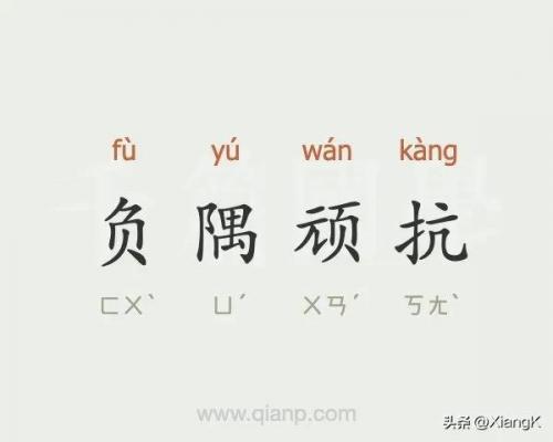 负隅顽抗的近义词(负隅顽抗什么意思解释)插图5