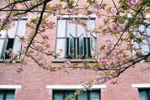 长沙高校校花排名前十(长沙校花)插图14