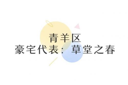 成都简约豪宅排名前十(成都最贵豪宅)插图3
