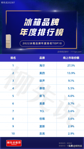 半导体冰箱排行榜(国际冰箱品牌排行榜前十名)插图3