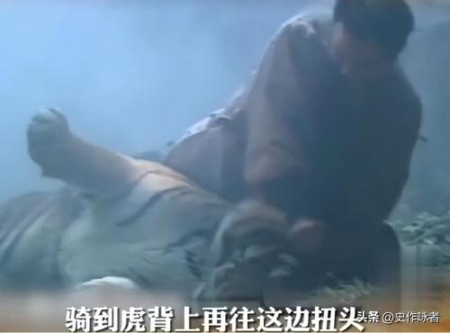 丁海峰妻子(演员丁海峰个人资料简介)插图20