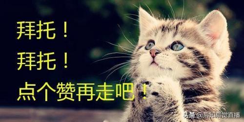 持仓盈亏(持仓金额是实际金额吗)插图1