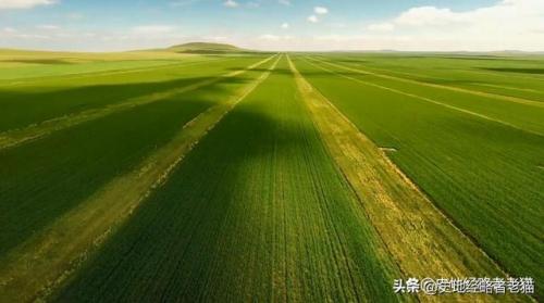 中国粮油产地排名前十(世界粮油企业排行榜)插图5