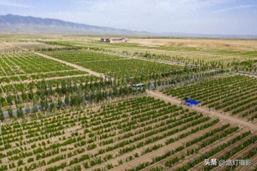 福建品质葡萄酒排名前十(精酿葡萄酒排名前十名品牌)插图21