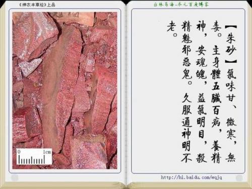 本草纲目中药大全(12000种中草药大全)插图32