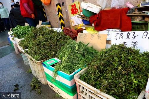 全球营养排行榜(全球营养品排名前十名)插图9