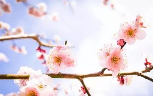 长沙高校校花排名前十(长沙校花)插图7