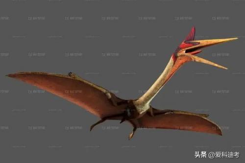 世界危险恐龙排名前十(恐龙战斗力排名)插图4
