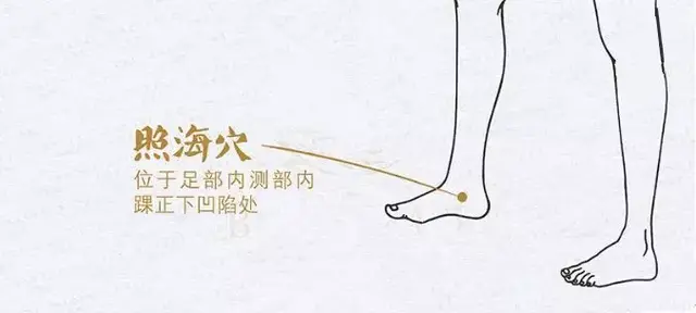 奇经八脉(十二正经走向图)插图4