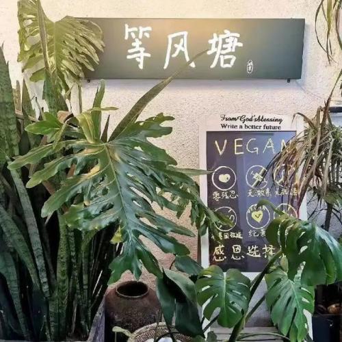 聊城梦幻西餐厅(聊城最好的西餐厅是哪)插图13