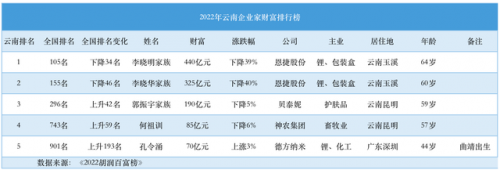 昆明电池公司排名前十(锂电池企业排行榜)插图8