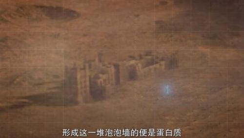 守望者剧情(任达华守望者剧情介绍)插图33