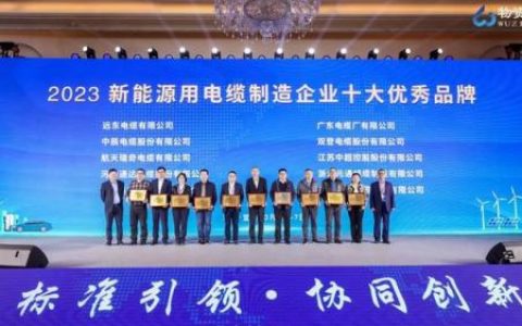 电缆组件厂家排名前十(110g线缆组件)