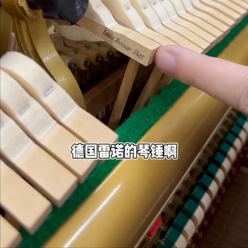 上海钢琴男团排名前十(2019中国男团组合排行榜)插图2