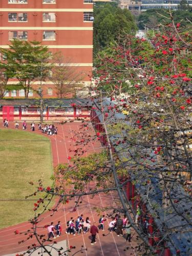 东莞高校校花排名前十(东莞最好的大学是哪一所)插图17