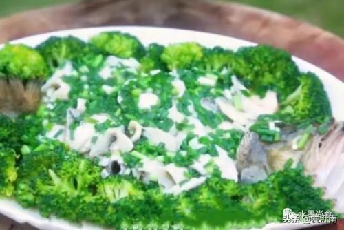 鲈鱼图片(淡水鲈鱼)插图11
