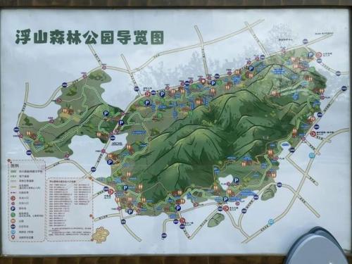 浮山森林公园(浮山封山期2023)插图1