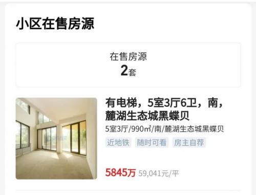 成都简约豪宅排名前十(成都最贵豪宅)插图15