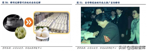 十大酵母粉品牌排行榜(发酵粉哪个品牌比较好)插图29