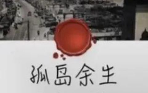 孤岛余生小说(孤岛余生txt百度云)