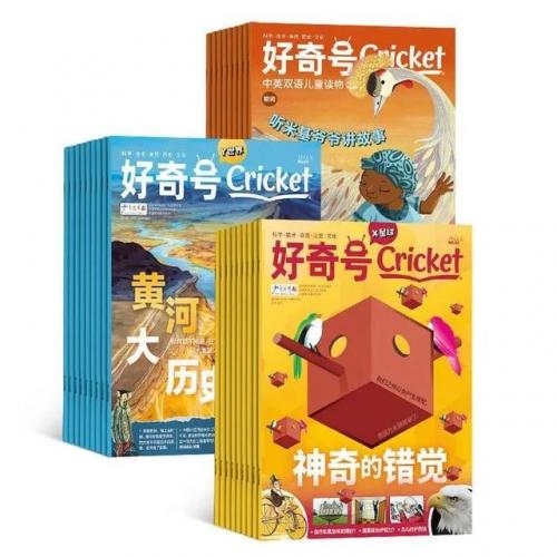 小学生报纸订阅排行榜(教育部门要求小学生订的报纸)插图4
