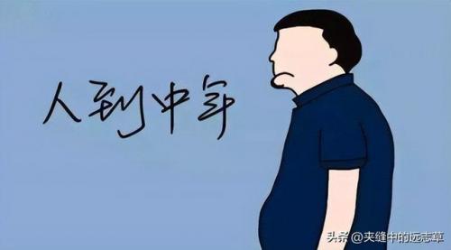 中药药材热量排名前十(中药一般有几卡路里)插图2