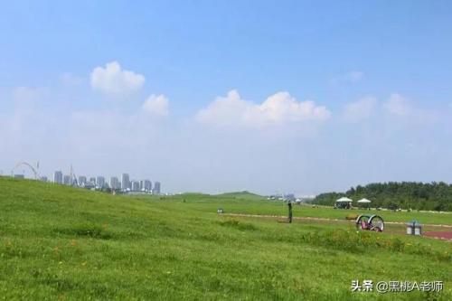 巢湖市小学排行榜(安徽巢湖学校初中排名)插图2