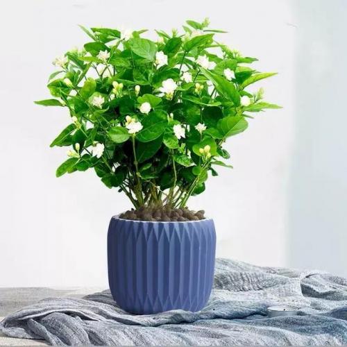 斗战神广寒仙姬本源技(斗战神飞升技能前后比较)插图25