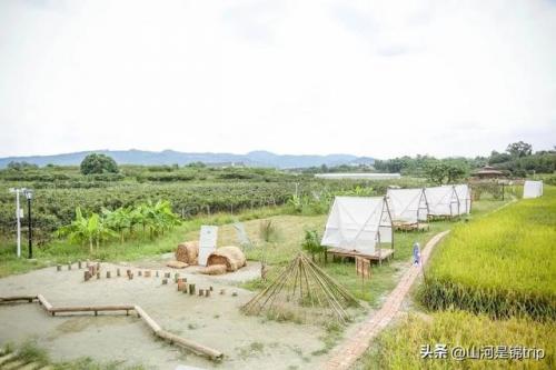 排名前十的亲子农庄(江浙一带农家乐排名)插图18