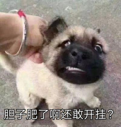 网金单机(网金online)插图8