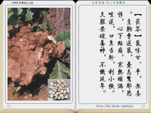 本草纲目中药大全(12000种中草药大全)插图16
