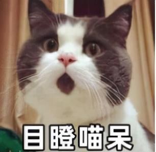 女士沐浴露品牌排行榜(十大公认最好沐浴露)插图5