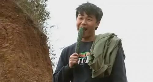 好电视剧推荐排行榜(必看的电视剧十名)插图16