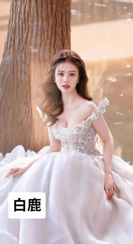 明星婚纱排行榜(十大奢侈婚纱品牌)插图4