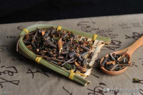 桑寄生的功效与作用及食用方法(钩藤的功效与作用)插图11