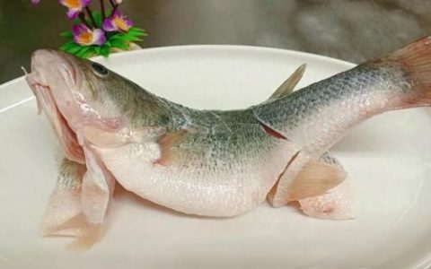 鲈鱼图片(淡水鲈鱼)